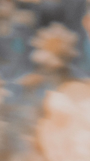 A cover of "a . photo" cluster. The owner is iweiu. The cluster consists of 233 elements.