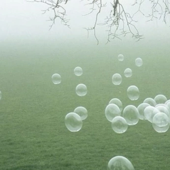 A cover of "grafik" cluster. The owner is lualeni. The cluster consists of 34 elements.