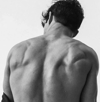 A cover of "Dude ranch" cluster. The owner is maikalindsay. The cluster consists of 3 elements.