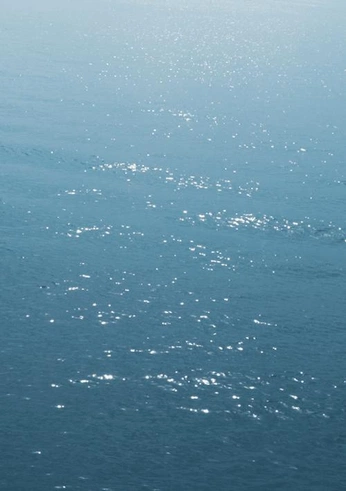 A cover of "Advertising" cluster. The owner is sofiewent. The cluster consists of 15 elements.