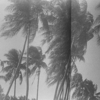 A cover of "Разворот книги" cluster. The owner is pviktorya. The cluster consists of 1 element.