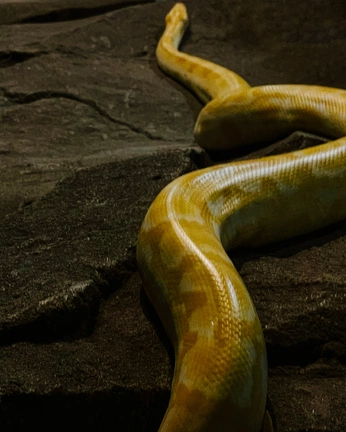 A cover of "research.xyz" cluster. The owner is unnnza. The cluster consists of 236 elements.