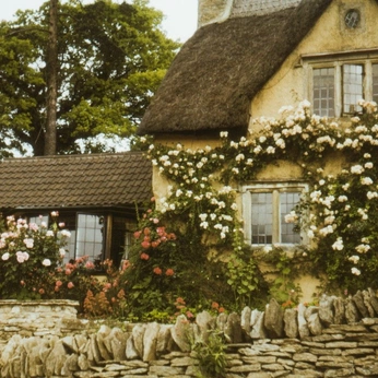 A cover of "Moomin OCs" cluster. The owner is canofpringles. The cluster consists of 45 elements.