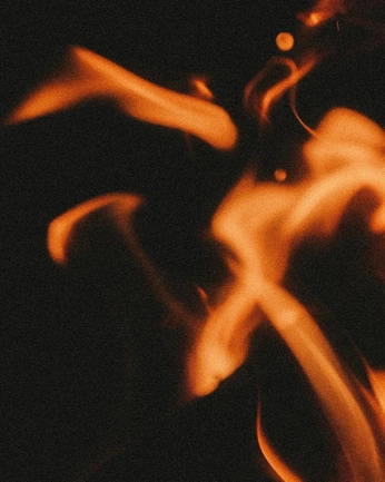 A cover of "cd" cluster. The owner is julie.park1. The cluster consists of 4 elements.