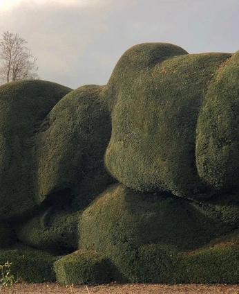 A cover of "N-07: Living Structures" cluster. The owner is ari.archive. The cluster description is "Organic Forms, Trees & Growth Systems". The cluster consists of 21 elements.