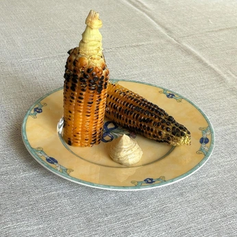 A cover of "UNDER THE SAME SUN" cluster. The owner is selvatropical. The cluster consists of 5 elements.