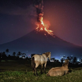 A cover of "Landscapes" cluster. The owner is ryanbelk. The cluster consists of 68 elements.