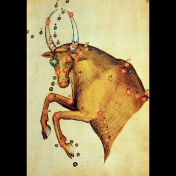 A cover of "the bull" cluster. The owner is weirdprotea. The cluster consists of 5 elements.