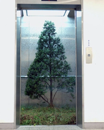 A cover of "Glendalough" cluster. The owner is cchatenoud. The cluster consists of 37 elements.