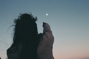 A cover of "the wilderness" cluster. The owner is leonog. The cluster consists of 46 elements.