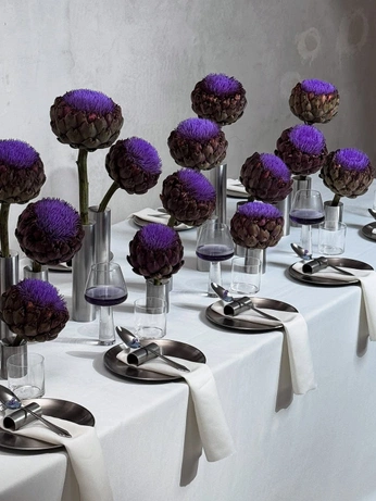 A cover of "event curation" cluster. The owner is cosmicmuse. The cluster consists of 2 elements.