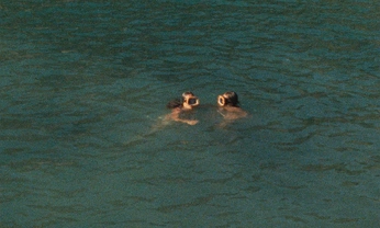 A cover of "MOTHERHOOD AI" cluster. The owner is lydiaharouna. The cluster consists of 20 elements.