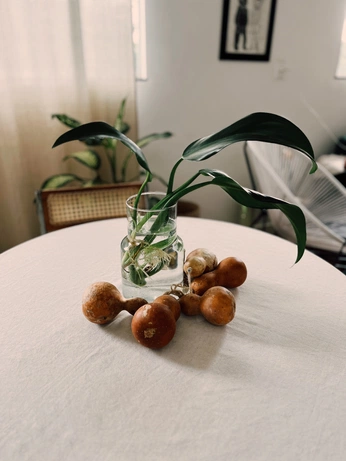 A cover of "Home" cluster. The owner is granato. The cluster consists of 1 element.