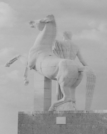 A cover of "NVCHO™" cluster. The owner is nacho. The cluster consists of 16 elements.