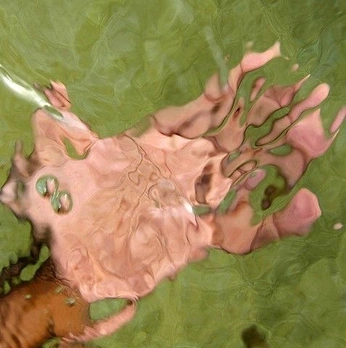 A cover of "kitch" cluster. The owner is lisanehls. The cluster consists of 44 elements.