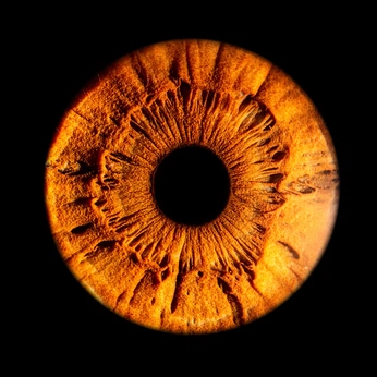 A cover of "Каряя Радужка" cluster. The owner is irismoscow. The cluster description is "Сочетание янтарного и карего! Просто нечто". The cluster consists of 31 elements.