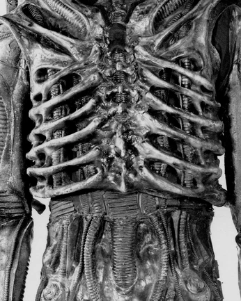 A cover of "Skin" cluster. The owner is ccallisto. The cluster consists of 16 elements.