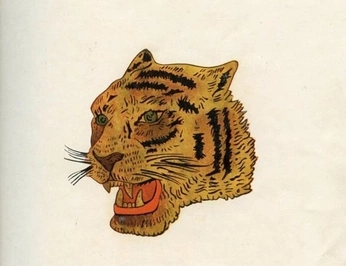 A cover of "animal" cluster. The owner is yeni01. The cluster consists of 9 elements.