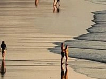 A cover of "📷" cluster. The owner is lillirose. The cluster consists of 1 element.