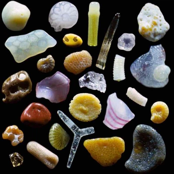 A cover of "The Ancestral Sea" cluster. The owner is lunarcookie. The cluster consists of 36 elements.