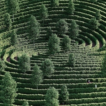 A cover of "Nature" cluster. The owner is tomaz. The cluster consists of 3 elements.