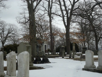 A cover of "crossroads+inbetweens" cluster. The owner is serafae8starfire. The cluster consists of 3 elements.