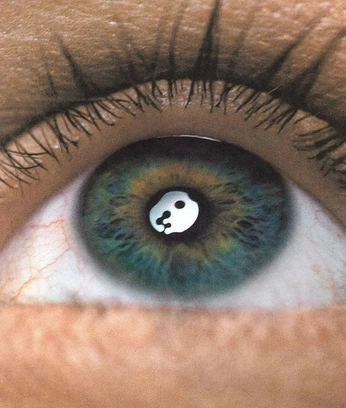 A cover of "EP COVER" cluster. The owner is rebeccasadr. The cluster consists of 55 elements.