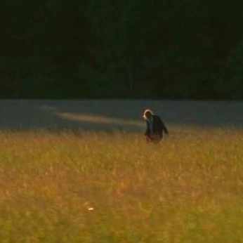 A cover of "TWD" cluster. The owner is alwaysfucking. The cluster consists of 307 elements.