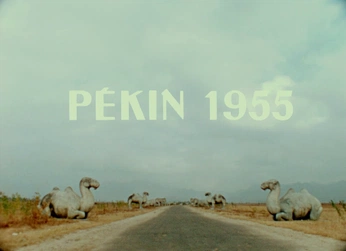 A cover of "diseño" cluster. The owner is pipetadegas. The cluster consists of 17 elements.