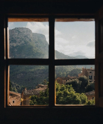 A cover of "Live" cluster. The owner is tommychalmers. The cluster consists of 1 element.