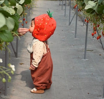 A cover of "Halloween" cluster. The owner is lovenest. The cluster consists of 11 elements.