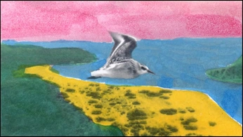 A cover of ". 𓅪.. . 𓅪 ." cluster. The owner is hrblove. The cluster consists of 12 elements.