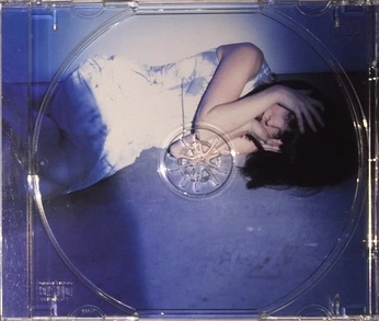 A cover of "Cultural Artifacts" cluster. The owner is designsbyaniket. The cluster consists of 2 elements.