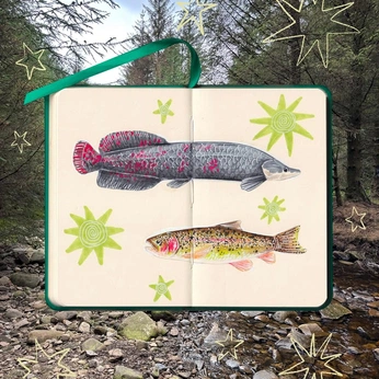 A cover of "Sketchbooks" cluster. The owner is hrblove. The cluster consists of 16 elements.