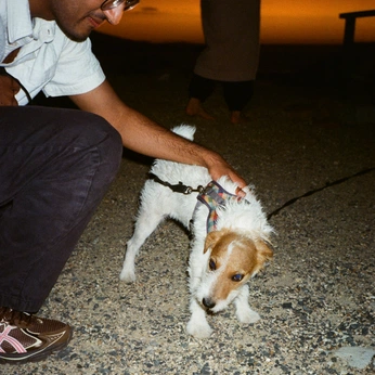 A cover of "for yush & kai" cluster. The owner is ethdaly. The cluster consists of 225 elements.