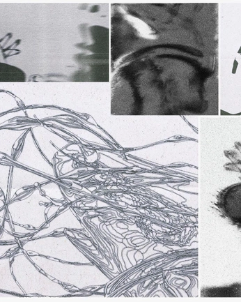 A cover of "Zinn" cluster. The owner is lanaley. The cluster consists of 3 elements.