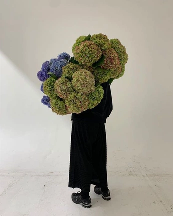 A cover of "This is a mood" cluster. The owner is marianoleonczik. The cluster consists of 45 elements.