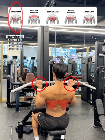 A cover of "Espalda" cluster. The owner is mr.wil. The cluster consists of 1 element.