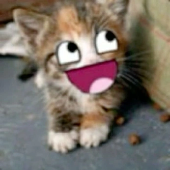 A cover of "Funny or smtg..¯\_(ツ)_/¯" cluster. The owner is aziryuu111. The cluster consists of 421 elements.