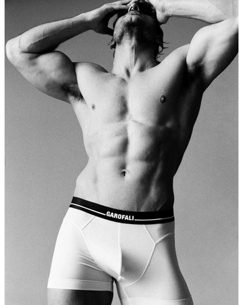 A cover of "02. Boxer Brief" cluster. The owner is garofali. The cluster consists of 1 element.