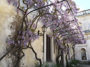 A cover of "Interiors" cluster. The owner is pelle. The cluster consists of 305 elements.