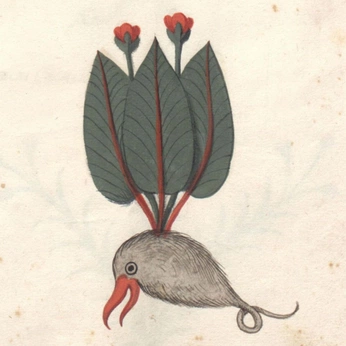 A cover of "Illustrations" cluster. The owner is artisbeautiful. The cluster consists of 16 elements.