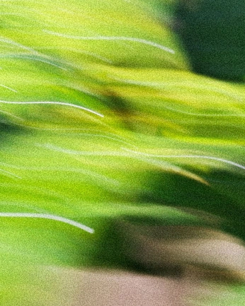 A cover of "pastime" cluster. The owner is saneseme. The cluster consists of 30 elements.