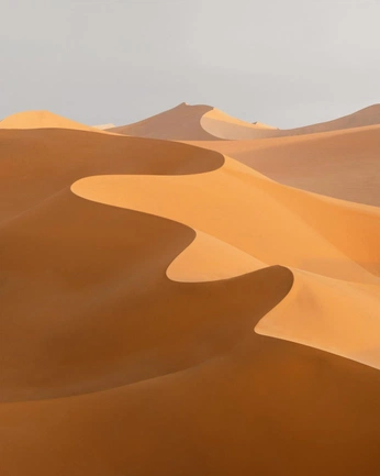 A cover of "Nature" cluster. The owner is amandz. The cluster consists of 2 elements.