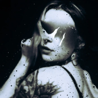 A cover of "Photography" cluster. The owner is moon2. The cluster description is "Photographs of people or beautiful scenery ". The cluster consists of 160 elements.