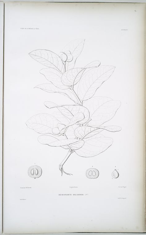 227b17b0-fd65-4548-908a-813a3ce782ad