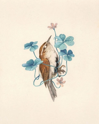 A cover of "OuterCityYouth" cluster. The owner is ofnoblefolk. The cluster consists of 5 elements.