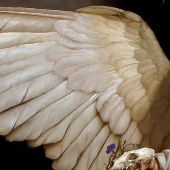 A cover of "arcadius amecchi luther." cluster. The owner is bloodiedbathe. The cluster description is "original book; do not copy.". The cluster consists of 47 elements.