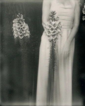 A cover of "white day" cluster. The owner is angelica.etc. The cluster consists of 40 elements.