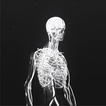 A cover of "Biology" cluster. The owner is janan.2000. The cluster consists of 4 elements.